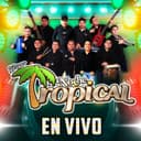 Noche Tropical