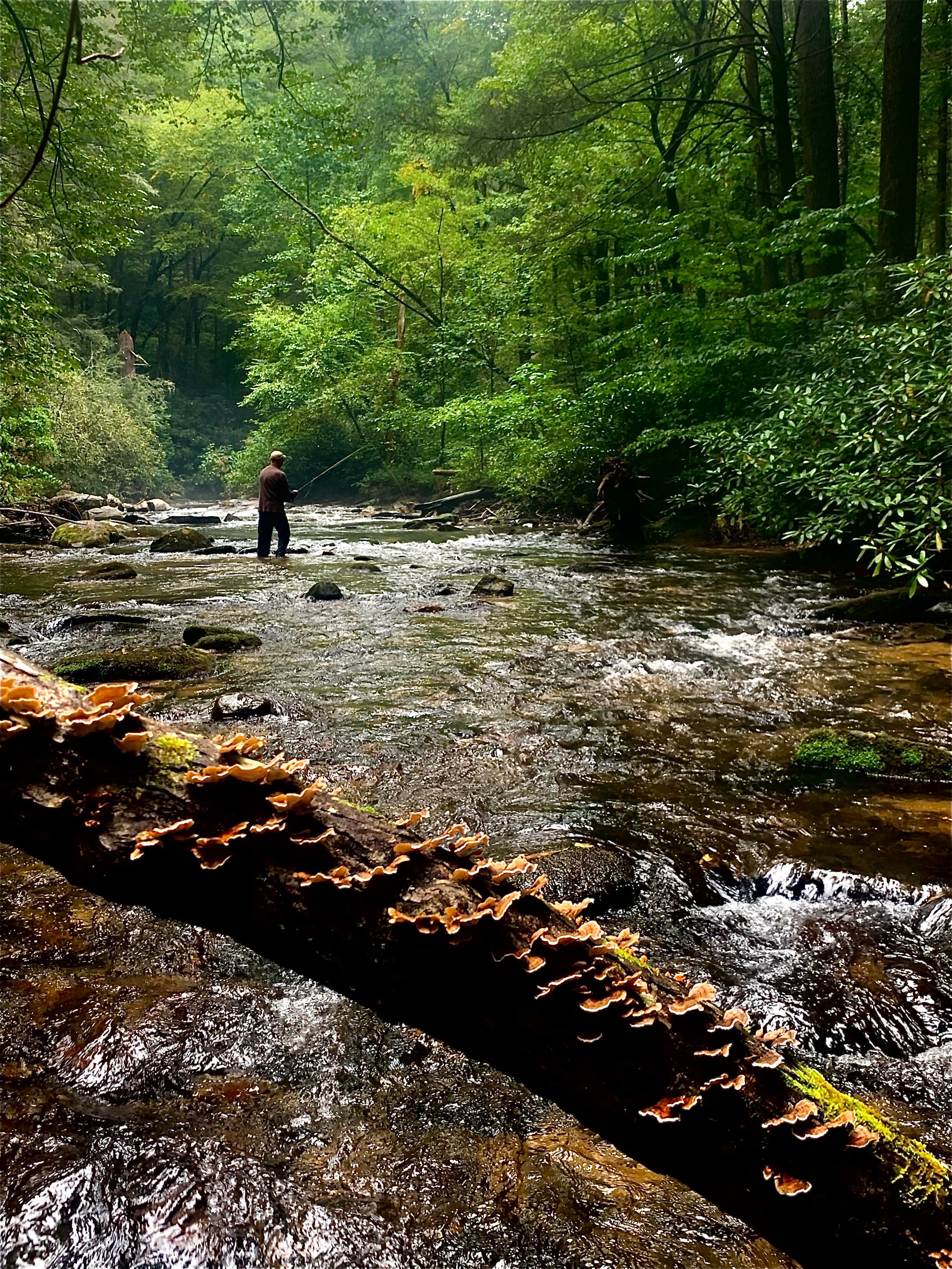 Toccoa River Tailwater